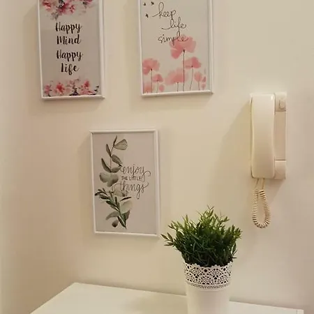 Dani 포레치