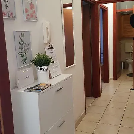 Dani
